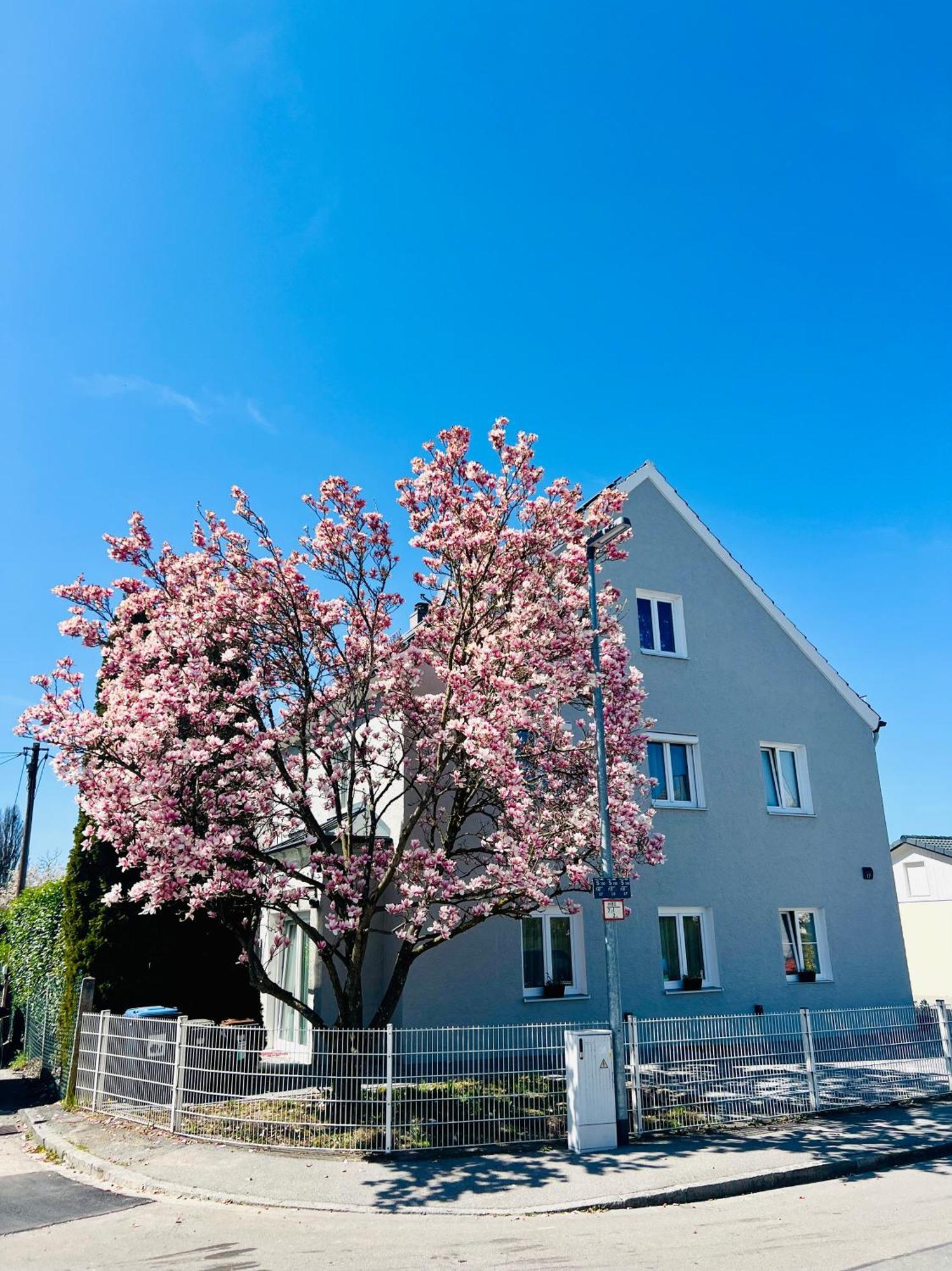 Apartment Magnolien Erding